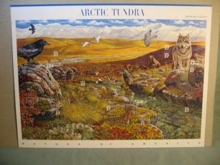 Souvenir Sheet Of Arctic Tundra 37 Cent Usa Stamps 2003 Scott 3802 Mnh,