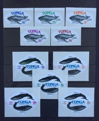 Tonga 1977.  Whales Conservation Complete Set Of 10.  Mnh.  Sg 628 - 637.