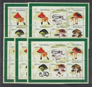 C694.  5x Guine - Bissau - Mnh - Nature - Flora - Mushrooms