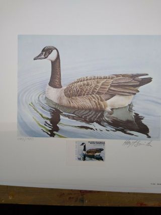 Oklahoma First Of State Duck Stamp Prints 1980,  81,  82 Unframed W/stamps