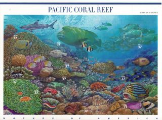 Scott 3831 Us Souvenir Sheet Pacific Coral Reef 37 Cent Mnh