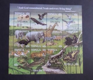 Tonga 1987 World Wildlife Fund Noah Ms966 Op Specimen Mnh Um Unmounted
