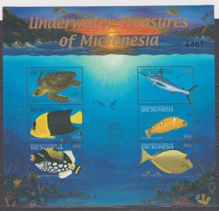 Micronesia 2001 Fish Marine Life Klb F.  V 3.  60usd Mnh