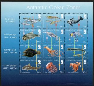 B.  A.  T Mnh 2016 Antarctic Ocean Zones Sheetlet