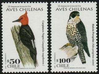 Chile 2000 Scott 1313 - 1314 Chilean Birds Carpintero Negro Y Halcon Peregrino