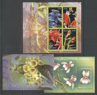 C1477 Guyana Flora Flowers Of South & Central America 1kb,  2bl Mnh