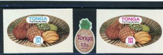 Tonga 1982 Scott 529 - 31 Lh