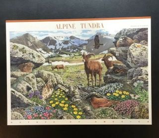 Scott 4198 Alpine Tundra 41 Cent Sheet 0f 10 Mnh/self Adhesive