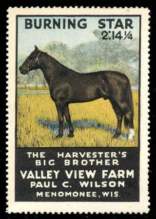 Usa Poster Stamp - Burning Star Race Horse - 1915 Valley View Farm,  Wisconsin