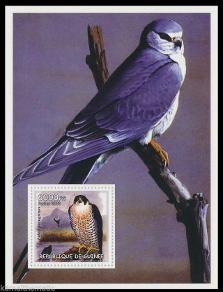 Guinea 2002 Mnh Ss,  Shaheen Falcon,  Birds Of Prey - Z11