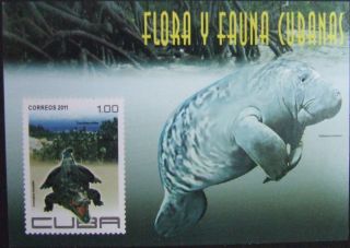 Caribbean,  Animals And Flowers,  6 St. ,  1 S/sh,  Mnh,  2011.  Cu53