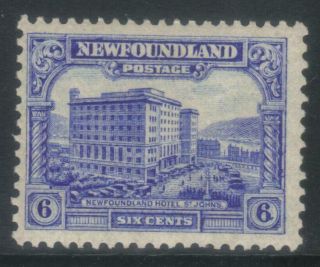 Newfoundland 1928 - 1929 Publicity Issue Sg169 Mh