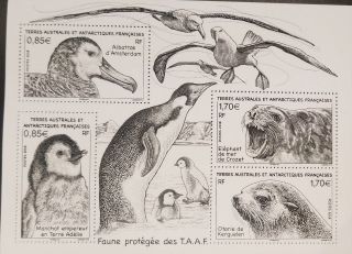 L) 2018 French Southern And Antarctic Lands,  Taaf,  Albatross Penguins,  Sea Lions