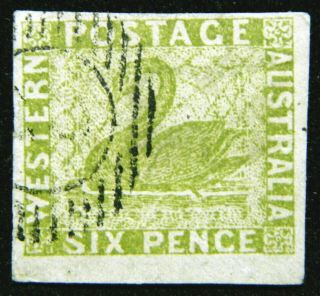 Western Australia Stamp 1860 - 64 6d Swan Scott 16 Sg28 Spiro Brothers Forgery