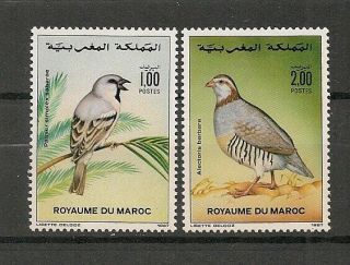 Morocco 1987 Wildlife Fauna Birds Vögel Oiseaux Compl.  Set Mnh
