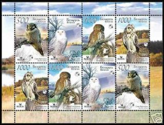 2007.  Belarus.  Birds.  Owls.  M/sh.  Mnh