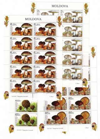 Moldova Sc 552 - 55 Nh Minisheets Of 2007 - Mushrooms