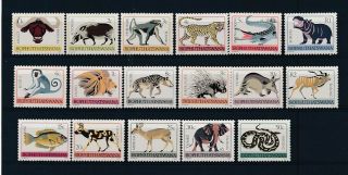 D279668 Wild Animals Mnh Bophuthatswana Sc.  5 - 21