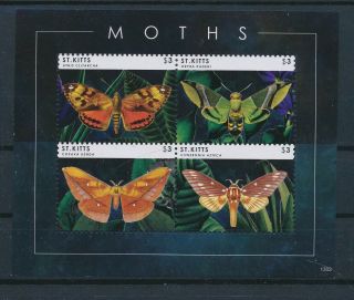 Lk64273 St Kitts Moths Insects Bugs Flora Butterflies Good Sheet Mnh
