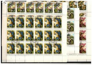 ,  36x Russia 1983 - Cto - Flowers - Sheets Bent