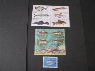 Brazil Stamps Fish Never Hinged Lot B