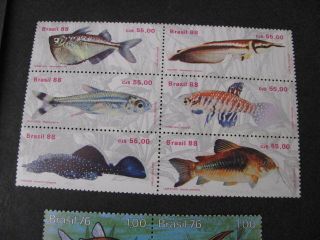 Brazil Stamps Fish Never Hinged Lot B 2