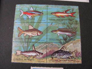 Brazil Stamps Fish Never Hinged Lot B 3
