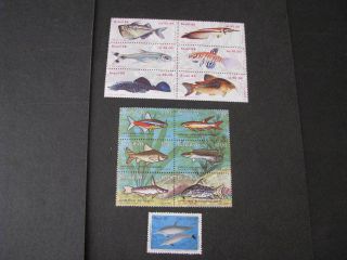 Brazil Stamps Fish Never Hinged Lot B 5