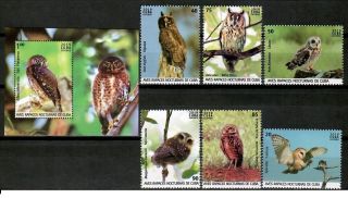 Caribbean Island 2019 Birds Owls S/s,  Set Mnh