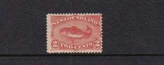 Canada - Newfoundland Stamp Sc 48 No Gum Cv$33