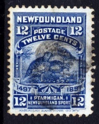 Newfoundland Sg 1897 Cat £26 12 Cents Ptarmigan Fine