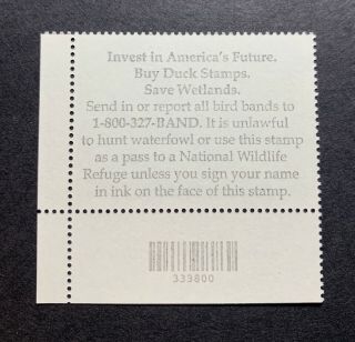 WTDstamps - RW75 2008 Plate - US Federal Duck Stamp - OG NH 2