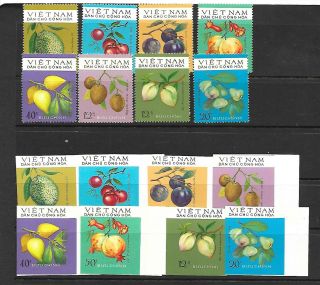 North Viet Nam Sc 768 - 75 Nh Issue Of 1975 - Perf & Imperf - Fruits