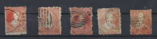 Zealand Chalon Heads 5 X 2d,  Different Perfs,  Well Worth Researching (j49)