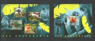 X1454 2014 Central Africa Fauna Birds Parrots Les Perroquets Kb,  Bl Mnh
