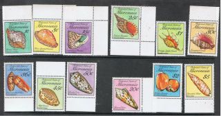 Micronesia 1989 Sea Shells