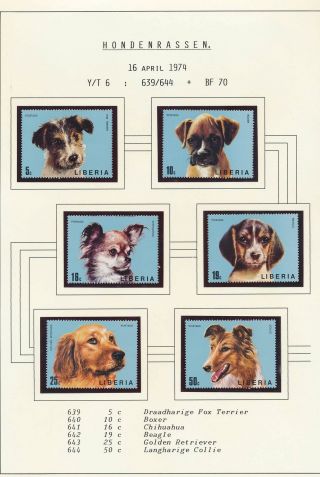 Xb72073 Liberia 1974 Pets Fauna Dogs Fine Lot Mnh