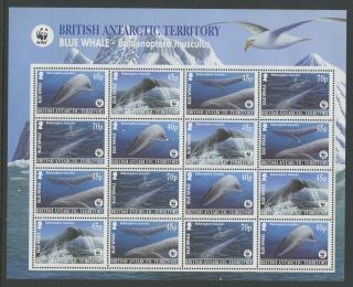 British Antarctic Territory 2003 Whales M/s Sc 329a Nh