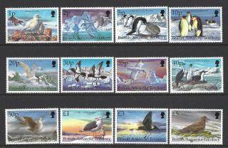 Bat 1998 Antarctic Birds Definitive Set Of 12 To £5 Um