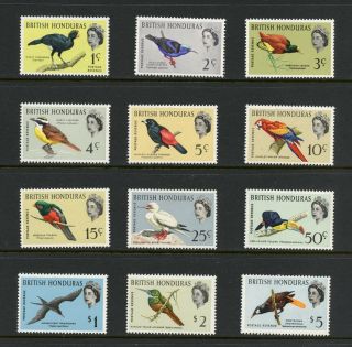 British Honduras 1962 167 - 78 Qeii Birds 12v.  Mvlh/mnh I502