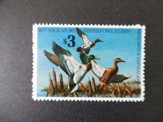 1977 Minnesota Waterfowl Duck Hunting Stamp Mnh