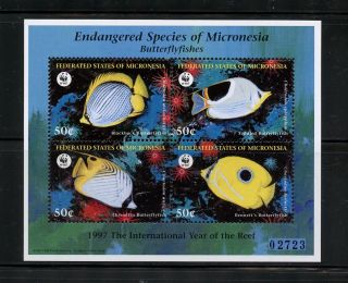 Micronesia 1997 Wwf Fish Marine Year Of The Reef Sheet Mnh N073