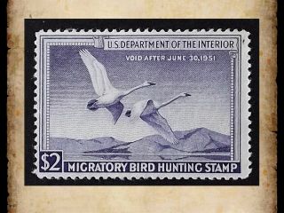 Us Federal Duck Stamp Scott Rw17 $2 1950 Migratory Bird Hunting Og Mnh