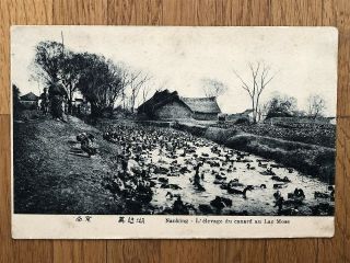 China Old Postcard Nanking Moses Lake