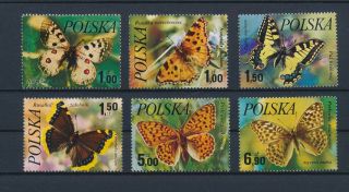 Lk58646 Poland Insects Bugs Fauna Butterflies Fine Lot Mnh