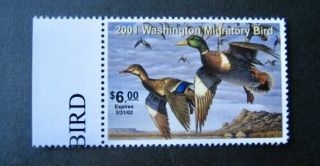 2001 Washington State Duck Migratory Waterfowl Stamp Mnhog