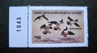 1993 Ohio State Duck Migratory Waterfowl Stamp Mnhog