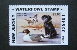 2003 Jersey State Duck Migratory Waterfowl Stamp Mnhog Resident Hunter - Type