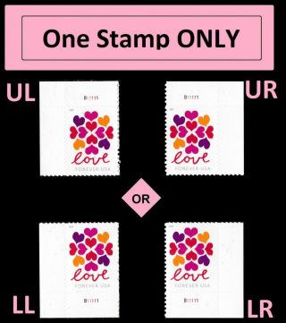Us 5339 Love Hearts Blossom Forever Plate Single Mnh 2019