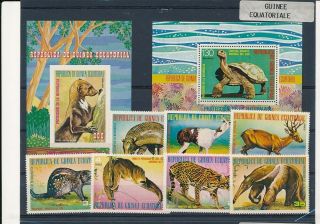 D277457 Wild Animals Of South America Mnh,  S/s Guinea Ecuatorial